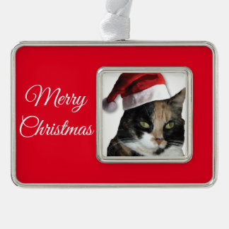 Calico Katze mit einem Santa Claus Hat Rahmen-Ornament Silber