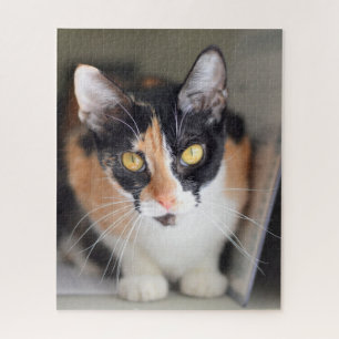 Calico Katze mit gelben Augen Puzzle