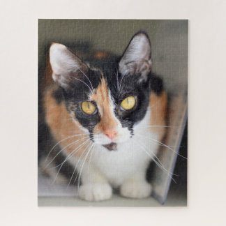 Calico Katze mit gelben Augen Puzzle