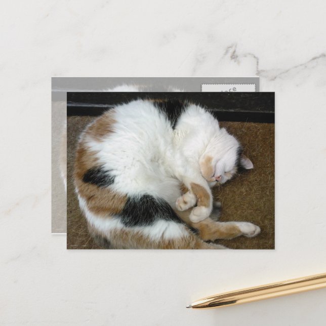 Calico-Katze schlurfend auf einer Türmatte Postkarte (Vorderseite/Rückseite Beispiel)