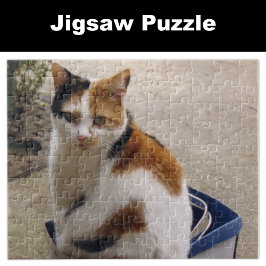 Calico Katze sitzt in einer Kiste im Garten Puzzle