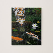 Calico Katze und Koi Fisch Kunst, Kinship