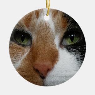 Calico-Katzenschmuck Keramikornament