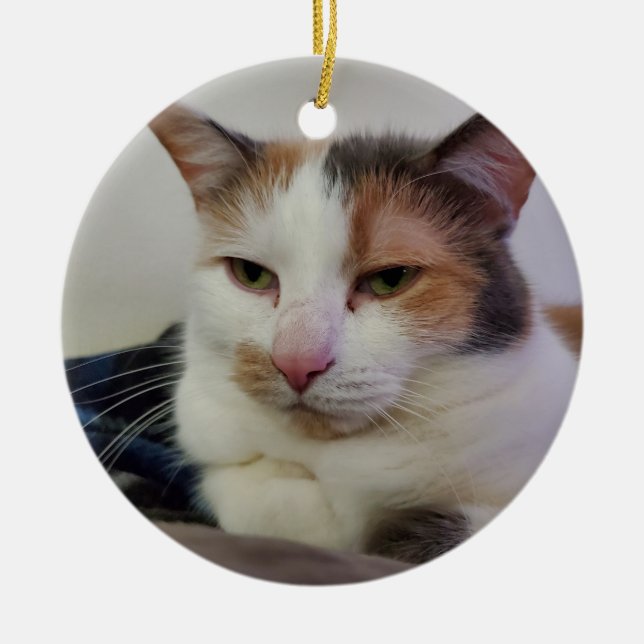 Calico Keramik Ornament (Vorne)