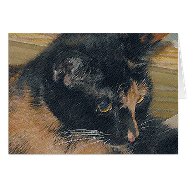 Calico Kitten Face (Vorderseite (Horizontal))