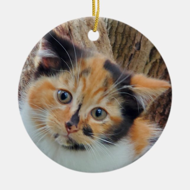 Calico Kitten Keramik Ornament (Vorne)