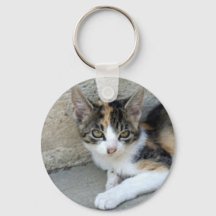 Calico Kitten Schlüsselanhänger