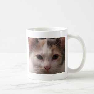 Calico Kitten Tasse