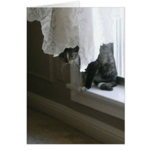 Calico Kitty auf der Fensterbank, flüchtige Blick-