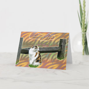 Calico Kitty Cat Denken Sie an Ihre Karte