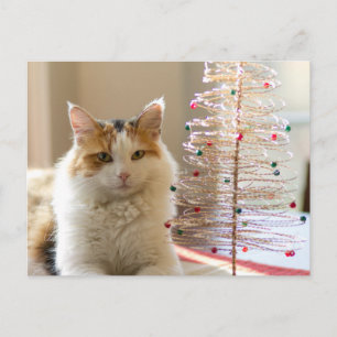 Calico-Mantel an ihrem kleinen Weihnachtsbaum Feiertagspostkarte