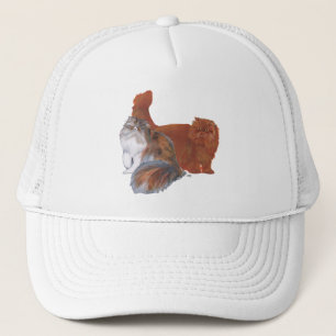 Calico-Perserkatze und rote Langhaarkatze Truckerkappe