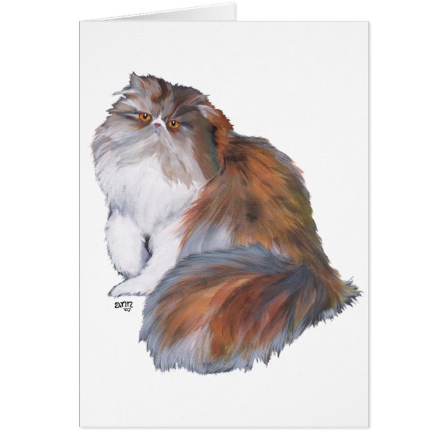 Calico Persian Cat (Vorne)