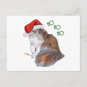 Calico Persian Cat Christmas Feiertagspostkarte