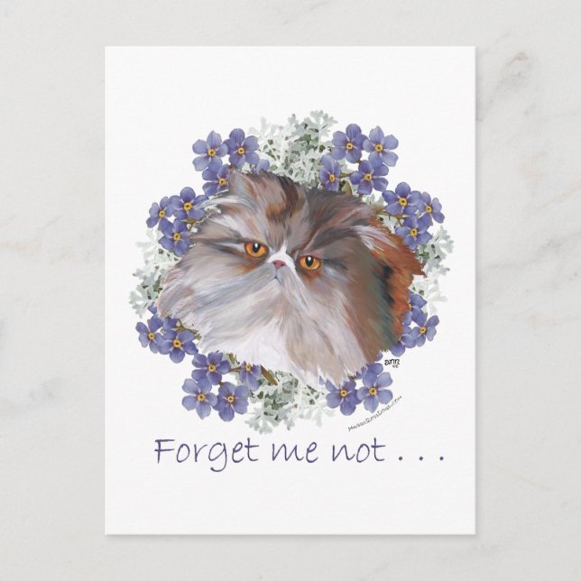 Calico Persian Cat Forget-Me-not Postkarte (Vorderseite)