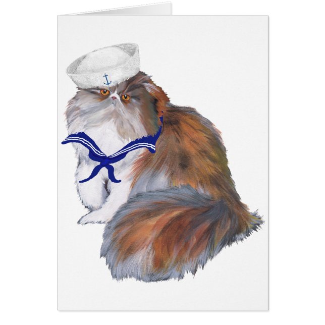 Calico Persian Cat Sailor (Vorne)