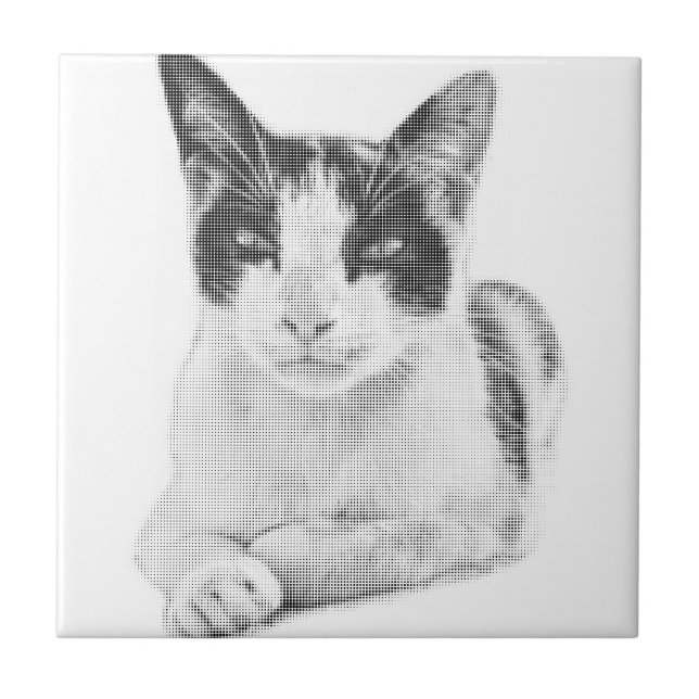 Calico Pop Halftone Fliese (Vorderseite)