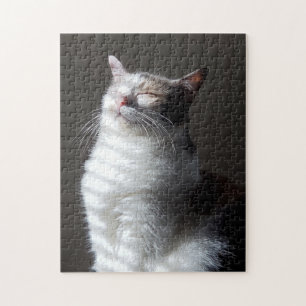 Calico Puzzle