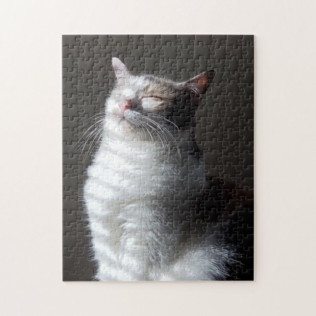 Calico Puzzle (Vertikal)