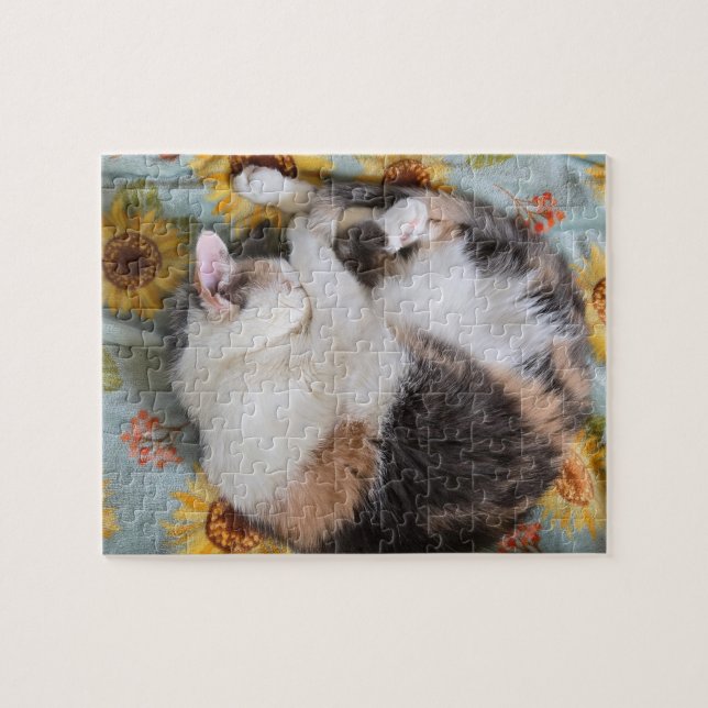 Calico Puzzle (Horizontal)