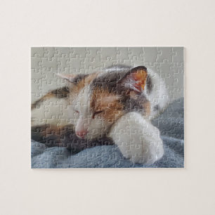 Calico Puzzle