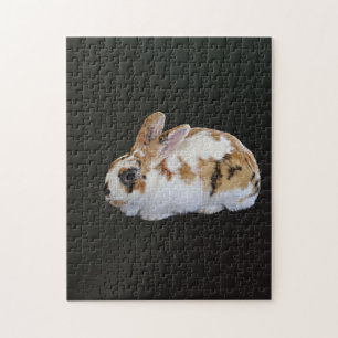 Calico Rabbit Puzzle