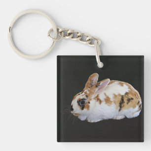 Calico Rabbit Schlüsselanhänger