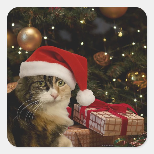 Calico Santa Kitty Aufkleber (Vorderseite)