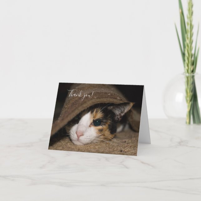 Calico Taco Dankeschön Card Dankeskarte (Vorderseite)