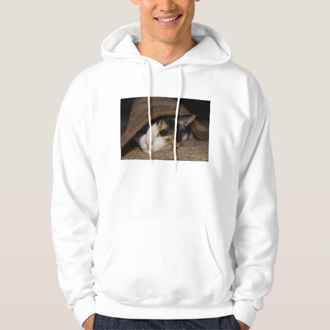 Calico Taco Hoodie (Vorderseite)