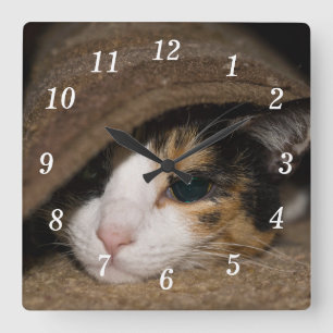 Calico Taco Wall Clock Quadratische Wanduhr