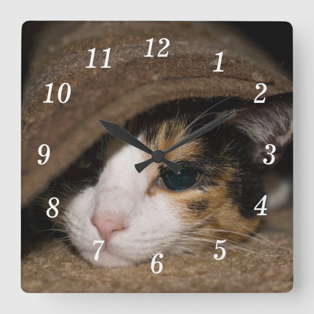 Calico Taco Wall Clock Quadratische Wanduhr (Vorderseite)
