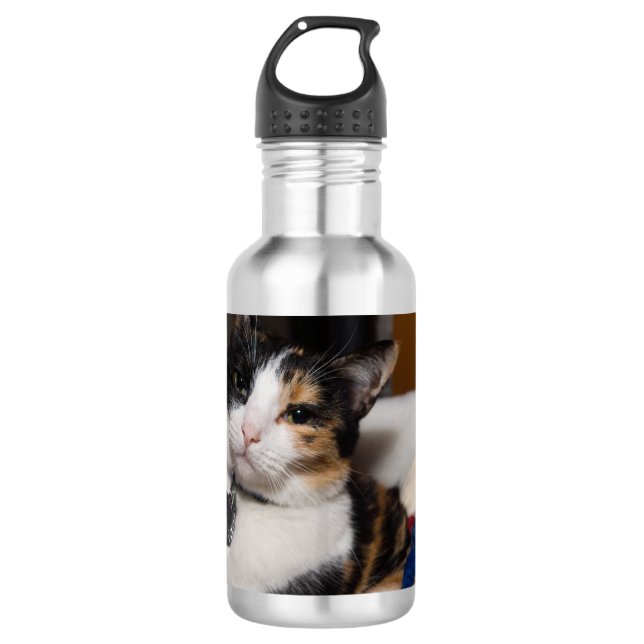 Calico und Snowmen Wasserflasche (Vorderseite)