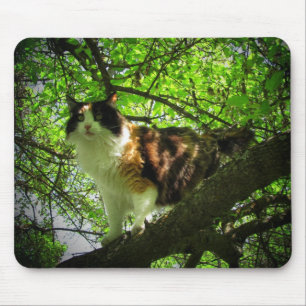 Calico-Vogeljäger Mousepad