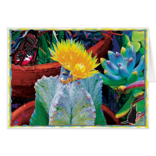 Caliente Kaktus (Vorderseite (Horizontal))