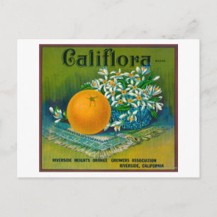 Califlora Orange LabelRiverside, CA Postkarte