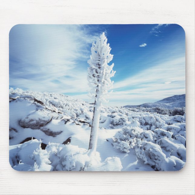 California, Anza Borrego Wüste Staat Park 2 Mousepad (Vorne)