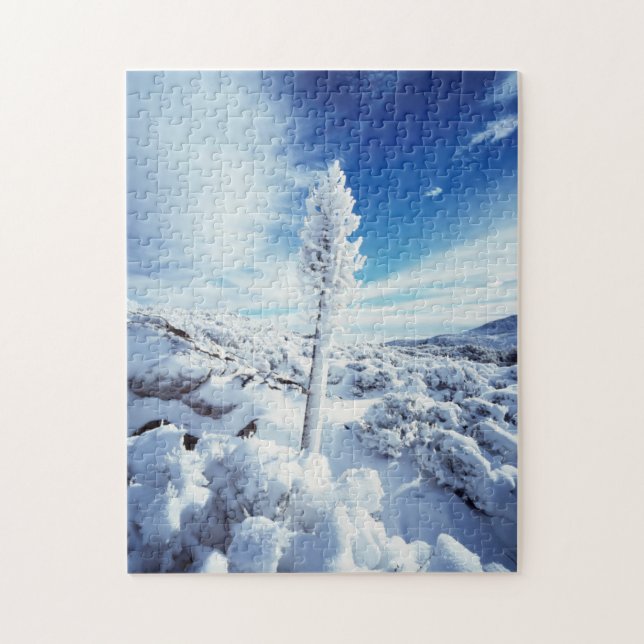 California, Anza Borrego Wüste Staat Park 2 Puzzle (Vertikal)