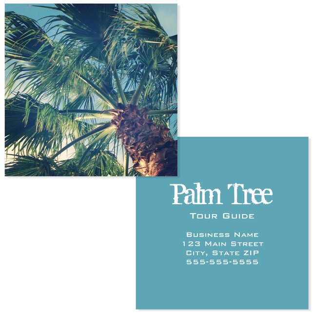 California Beach Palm Fronds Quadratische Visitenkarte (California Beach Palm Fronds Square Business Card)