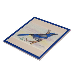 California Blue Jay Bird Keramik Tile Fliese