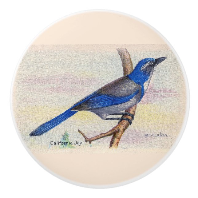 California Blue Jay Knob Keramikknauf (Vorderseite)