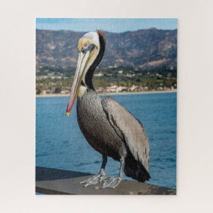 California Brown Pelican Portrait Puzzle
