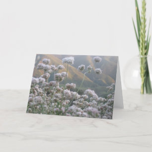 California Buckweizen Karte