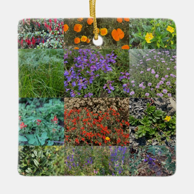 California Colors 2020 Keramikornament (Vorderseite)