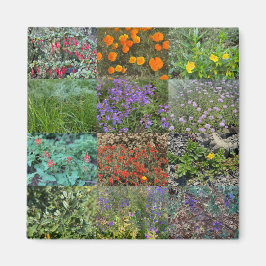 California Colors 2020 Magnet