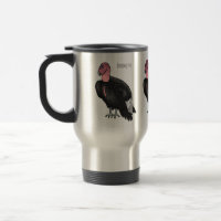 California condor bird Cartoon