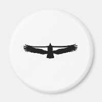 California Condor
