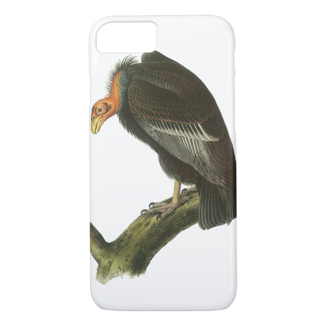 California Condor von Audubon Case-Mate iPhone Hülle (Rückseite)