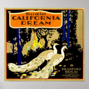 California Dream Brand Orange Kisten Frucht Etiket Poster