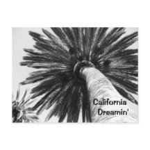 California Dreamin Postcard